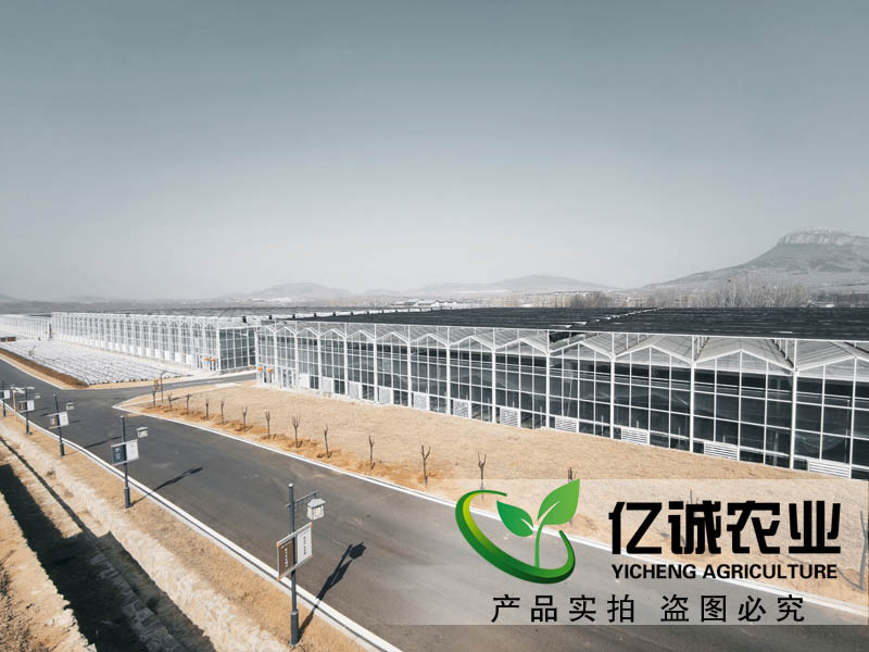 連棟溫室大棚水槽內(nèi)為什么會(huì)積水？億誠教您這樣做