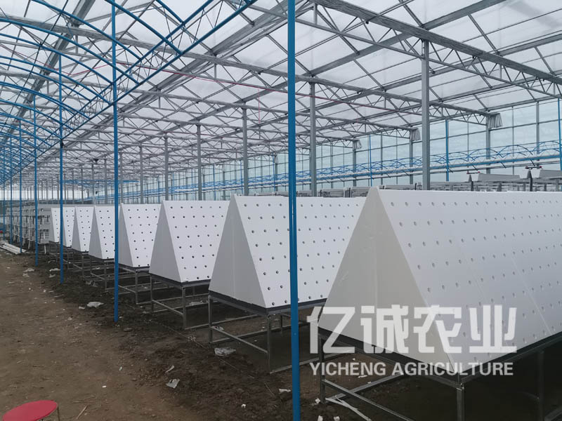 薯類(lèi)作物的溫室大棚怎么建設(shè)？造價(jià)高不高？