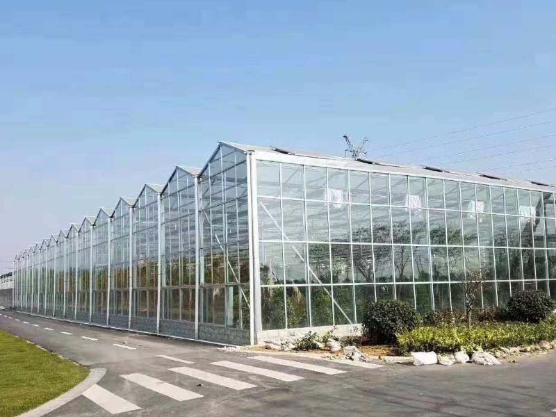 玻璃溫室工程建設(shè) 玻璃溫室工程建設(shè)