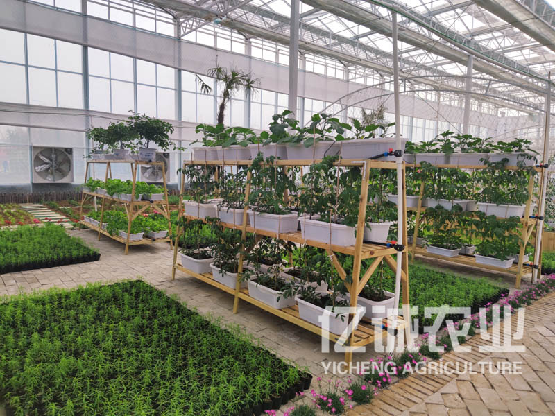 現(xiàn)代化智能溫室大棚建設(shè) 現(xiàn)代化智能溫室大棚建設(shè)